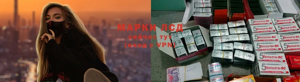 дурь Горно-Алтайск