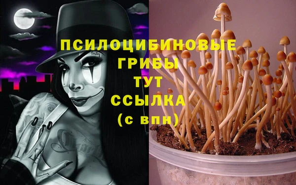 гашиш Горнозаводск