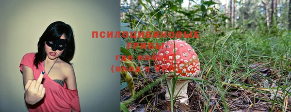 дурь Горно-Алтайск